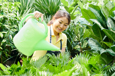 Similar image 20788308