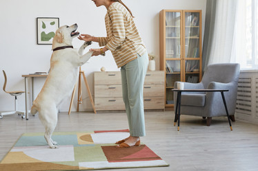 Similar image 20768081