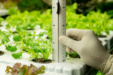 Similar image 20776240