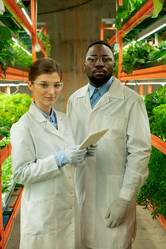 Similar image 20762099