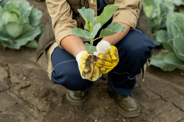 Similar image 20784228