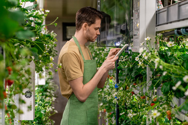 Similar image 20756582