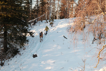 Similar image 20764396