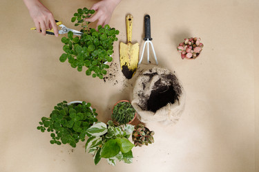 Similar image 20775300