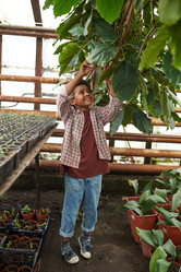 Similar image 20761650