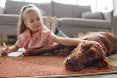 Similar image 20762293