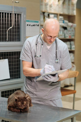 Similar image 20776759