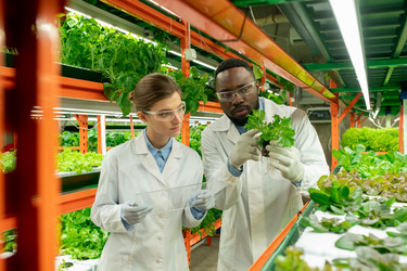 Similar image 20777612