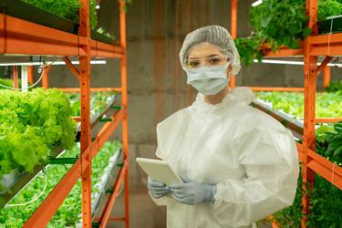 Similar image 20770622