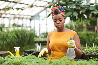 Similar image 20765054