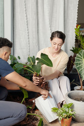 Similar image 20776590