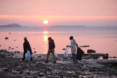 Similar image 20782537