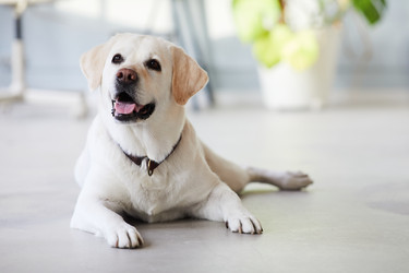 Similar image 20781068