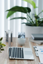 Similar image 20753504