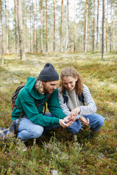 Similar image 20780875