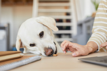 Similar image 20764697