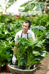 Similar image 20783873