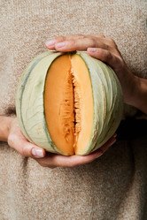 Similar image 20787488