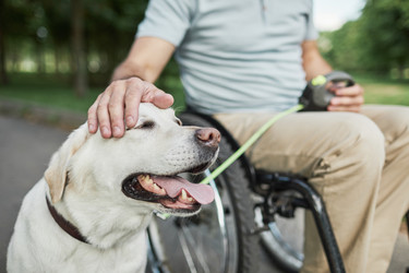 Similar image 20782712