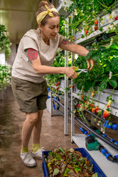 Similar image 20755669