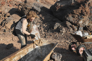 Similar image 20774105