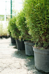 Similar image 20768469