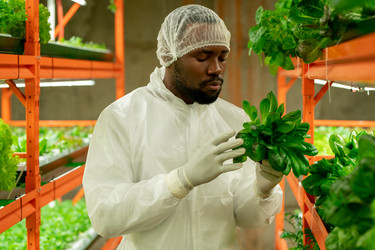 Similar image 20755877