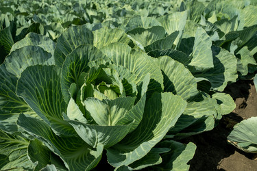 Similar image 20784388