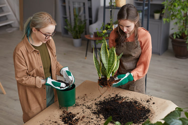 Similar image 20763851