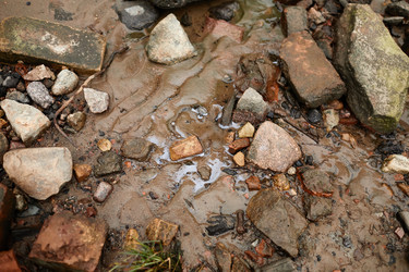 Similar image 20780714