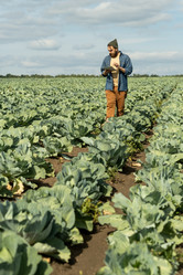 Similar image 20759850