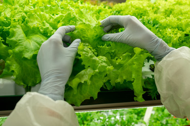 Similar image 20770096