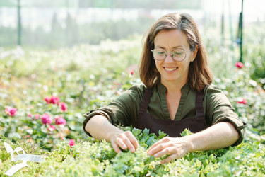 Similar image 20777835