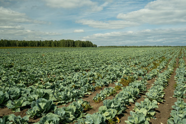 Similar image 20781053