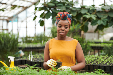 Similar image 20774998