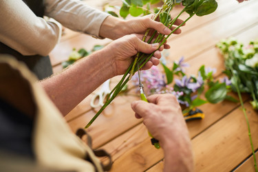 Similar image 20781794