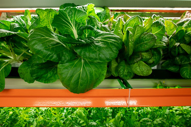 Similar image 20774334