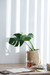 Similar image 20779045