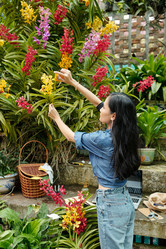 Similar image 20777606