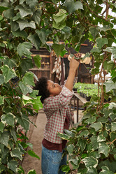 Similar image 20777888