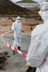 Similar image 20758050