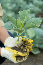 Similar image 20781564