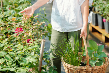 Similar image 20755667