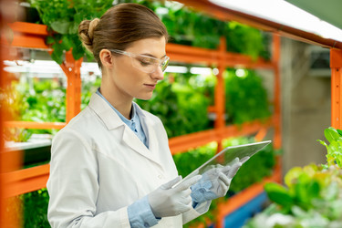 Similar image 20768593