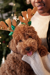 Similar image 20787380