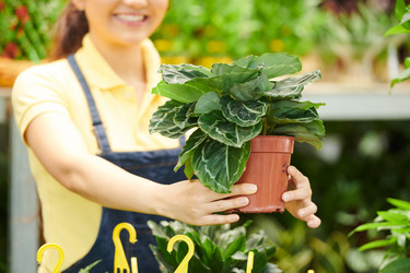 Similar image 20758800