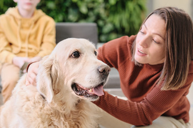 Similar image 20752274