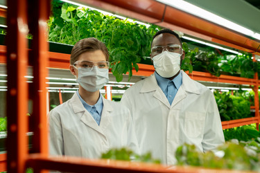 Similar image 20764524