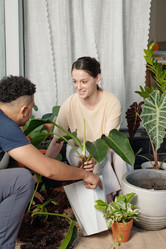 Similar image 20768329