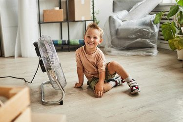 Similar image 20779221